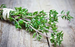 این افراد نباید آویشن مصرف کنند