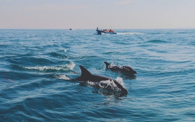 بهترین جزایر برای یک سفر به یادماندنی