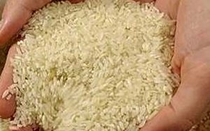 جزییات توزیع برنج ۴۲ هزارتومانی از امروز