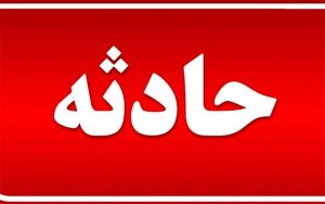 نزاع ۲ برادر جان مادر را گرفت