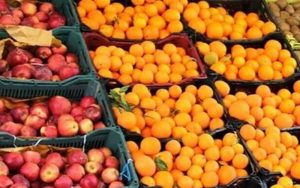 ورود مجلس به تنظیم بازار میوه شب عید