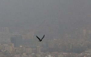 وضعیت قرمز ۱۵ ایستگاه کیفیت هوای تهران