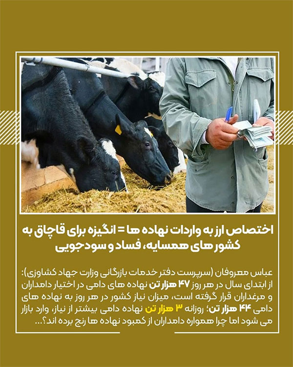 رشد قاچاق و فساد با اجرای سیاست ارز 4200 تومانی در کشور