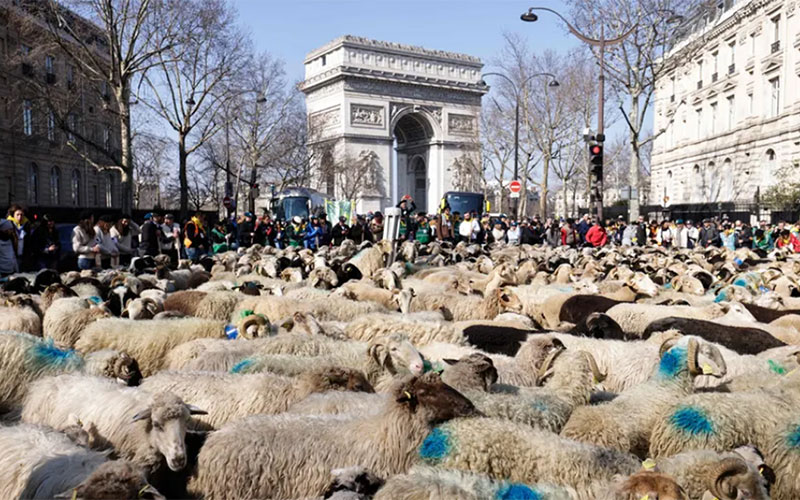 دیدنی های امروز؛ از پناهجویان اوکراینی تا قضات زن مصری