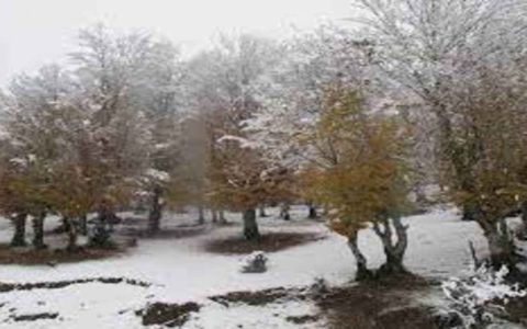 برف زیبای بهاری در دومین روز نوروز 1401