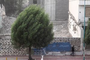 وزش باد