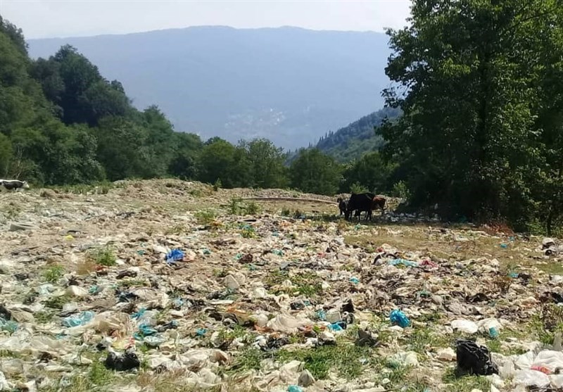 بزرگ ترین چالش زیست محیطی گیلان رنگ خون گرفت؛ انباشت غیراصولی زباله تاچه زمانی در سراوان ادامه خواهد داشت؟