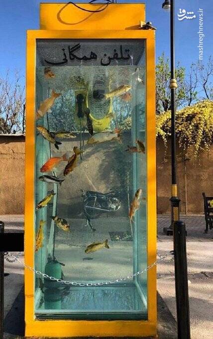 زیباترین تلفن همگانی ایران /عکس