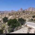 طبیعت کوه گنو بندرعباس