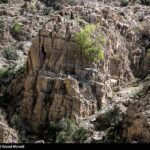 طبیعت کوه گنو بندرعباس