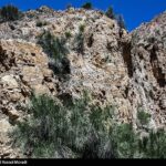 طبیعت کوه گنو بندرعباس