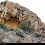 طبیعت کوه گنو بندرعباس