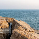 طبیعت بکر خلیج فارس