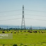 پتروشیمی میانکاله