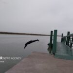 جشن روز ملی خلیج فارس
