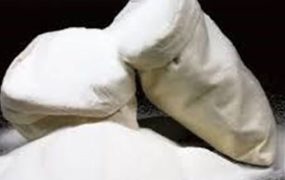 آغاز توزیع شکر یارانه ای از فردا در بازار