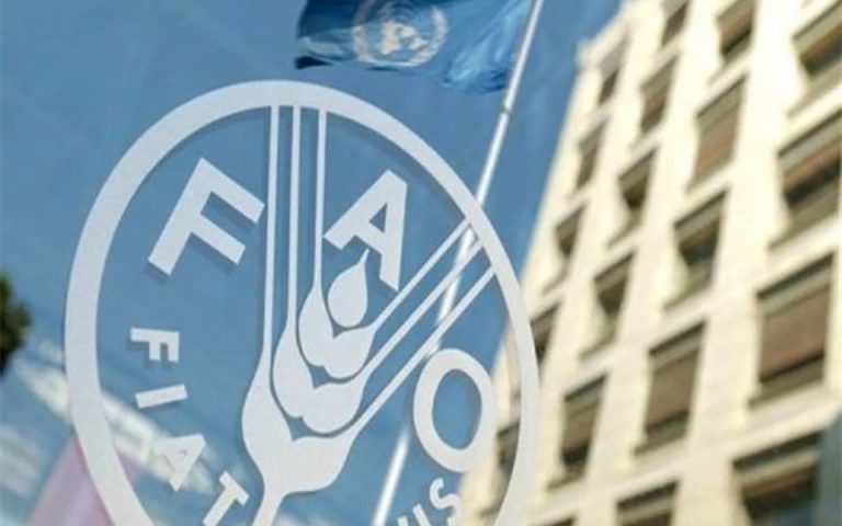 افزایش قیمت جهانی مواد غذایی با ادامه جنگ اوکراین