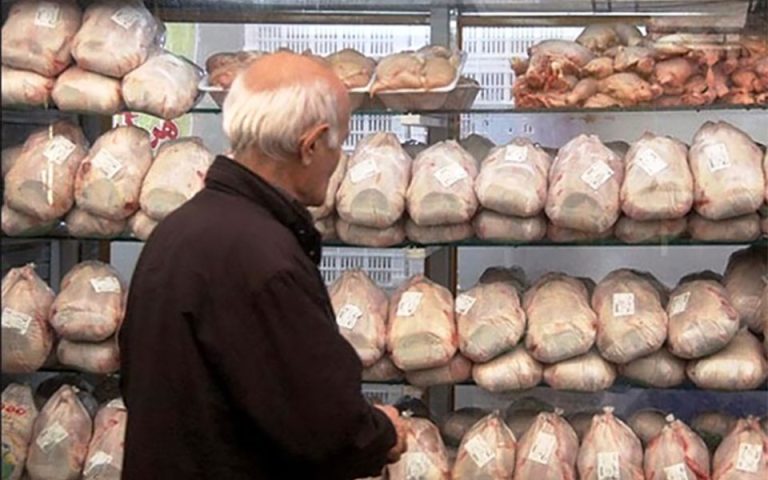 توزیع مرغ منجمد متوقف شود