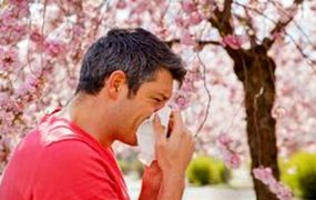 دمنوش‌هایی برای مقابله با حساسیت‌های بهاری