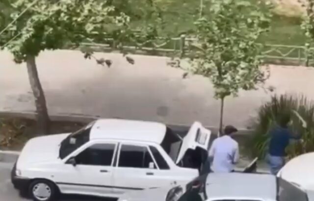 سرقت با قمه در روز روشن/ فیلم