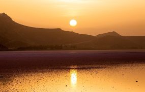 فلامینگوهای مهارلو - شیراز