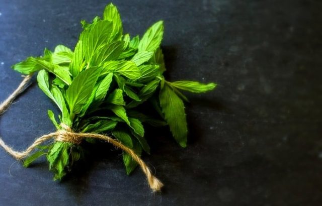 فواید-نعناع-برای-پوست