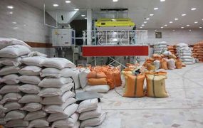قیمت جدید انواع برنج ایرانی اعلام شد