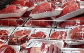 واردات گوشت حرام به کشور تکذیب شد
