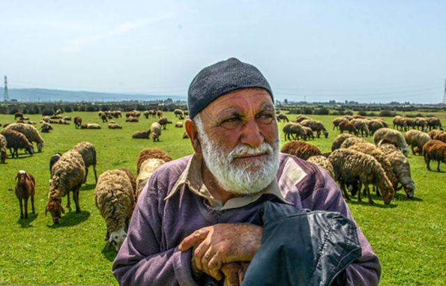 پتروشیمی میانکاله