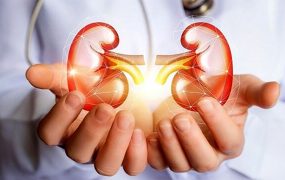 چگونه سلامت کلیه‌های خود را تضمین کنیم؟