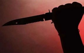 کشف جسد تکه تکه شده در سطل زباله