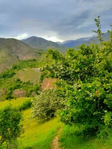کوشک الموت