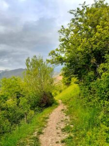 کوشک الموت