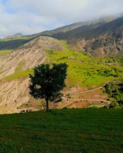 کوشک الموت