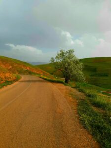 کوشک الموت