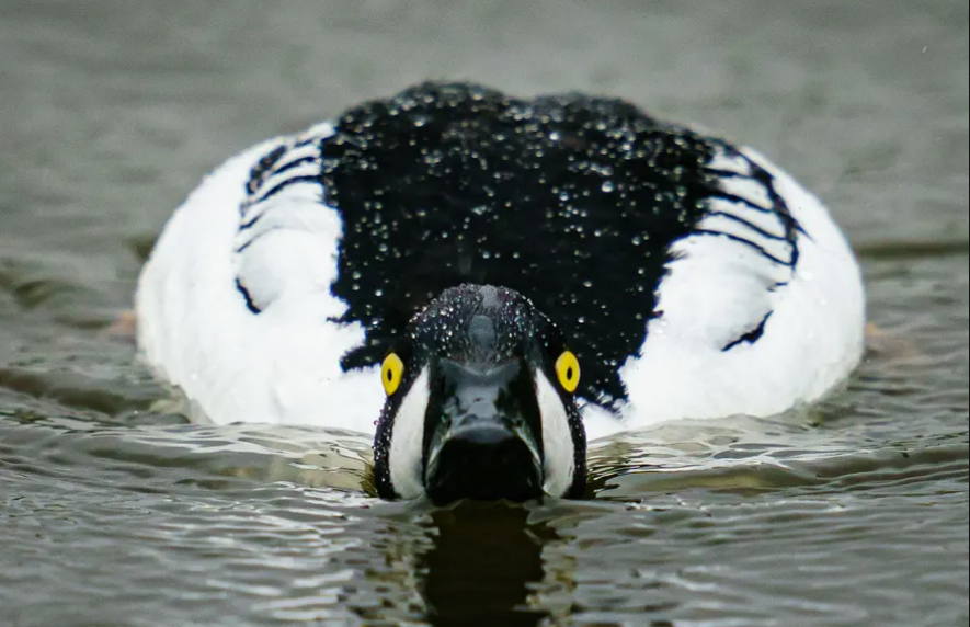 دیدنی های امروز؛ از خبرنگارکُشی اسراییل تا قبر نمادین پوتین در اوکراین تالاب "اسلیبریج"