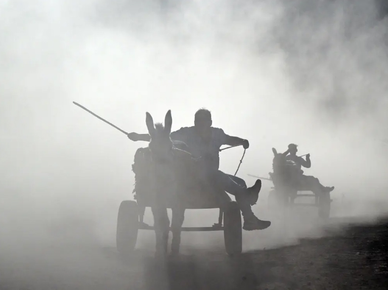 دیدنی های امروز؛ از شهر سقوط کرده "ماریوپل" اوکراین تا مسابقه خرسواری مسابقه خرسواری در شهر وان ترکیه