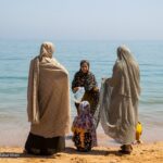 جزیره هرمز و لارک