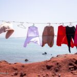 جزیره هرمز و لارک