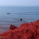 جزیره هرمز و لارک