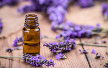 Herbal Oil And Lavender Flowers