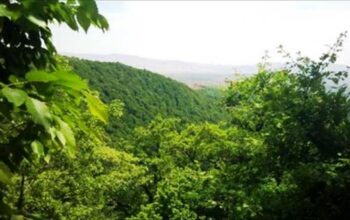 سمنان