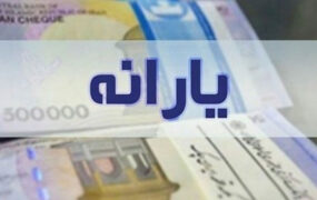 سه ماه برای ثبت نام یارانه فرصت دارید