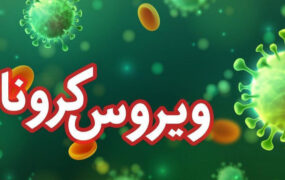 فوت ۸ بیمار کرونایی در کشور