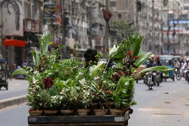 دیدنی های امروز؛ از آلودگی های محیط زیستی تا پایان قرنطینه در چین گل فروشی سیار در کراچی پاکستان