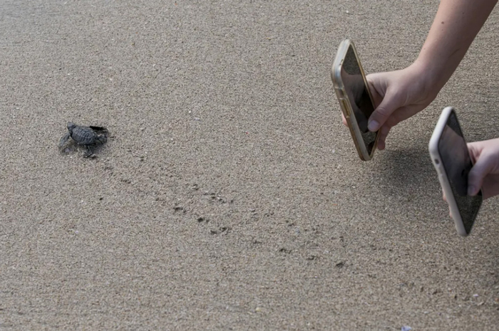 دیدنی های امروز؛ از کولی های انگلیس تا آوارگان خشکسالی در سومالی گردشگران در جزیره تفریحی "بالی" اندونزی