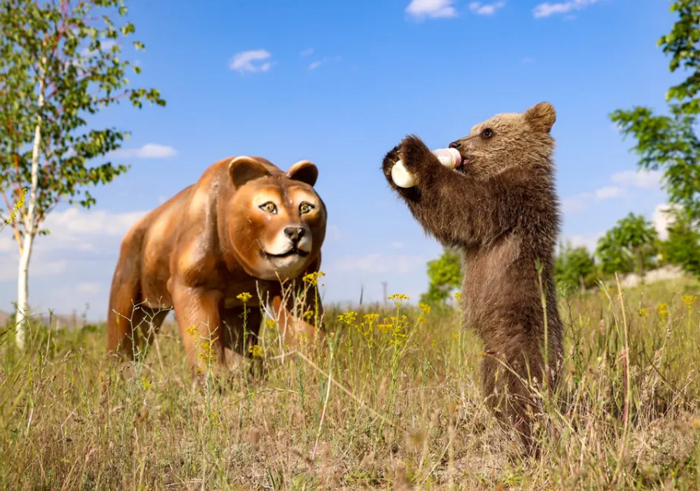  صفحه اول فیلم عصر ایران۲ تماس با ما آرشیو جستجو پیوند ها نظرسنجی آب و هوا اوقات شرعی سواد زندگی تاریخ: ۲۵ خرداد ۱۴۰۱ - ۱۴:۱۹ عصر ایران yektanet.com فیلم بیشتر »» ببینید| درگیری و کتک زدن چند زن در رستورانی در چین ببینید| درگیری و کتک زدن چند زن در رستورانی در چین در حاشیه حمله خفت‌گیرها و چاقو خوردن شرکت کننده جوکر امبر هرد: رفتار شبکه‌های اجتماعی با من عادلانه نبود شکایت فرهاد اصلانی از دستیار کارگردان خانم راوی آزار جنسی ببینید| دعوای بچه "مهمونی" با اشکان خطیبی ببینید| چالش احسان علیخانی با داوران عصرجدید / امین حیایی تشویق شد ببینید| مهدی طارمی در فرودگاه: نمی‌خواهم صحبت کنم ببینید| فراستی: روزی ۲ الی ۳ میلیون خرج مواد مخدر برخی سلبریتی‌هاست حمله خفت‌گیران قمه به دست به مجری تلویزیونی برنامه اختیاریه ببینید| دلایل بازیگر سینما و تلویزیون درباره استقلالی شدنش ببینید| واکنش رضا رویگری به فیلم پرحاشیه‌ای که از او منتشر شد باشگاه مغز چند مربع در این تصویر می بینید؟ (معمای هندسی) باشگاه مغز | شهودی هستید یا تحلیلی؟ برای پاسخ این تصویر را نگاه کنید باشگاه مغز | معمای ساده ریاضی را در چند ثانیه حل می کنید؟! باشگاه مغز | بازی هرم (معمای ریاضی) باشگاه مغز | رمز گاوصندوق را پیدا کنید! (معمای تصویری) باشگاه مغز | کدام عدد باید در جای خالی قرار بگیرد؟ (معمای ریاضی) باشگاه مغز | اهالی این 16 روستا را به هم برسانید (معمای تصویری) پیام شاعرانه همسر عبدالملکی بعد از استعفا بزرگترین تخفیف قرن! همین حالا با کد FL6 سفر خارجیت رو رزرو کن تبلیغات خود را در سایت های پر بازدید ببینید جدید ترین سرفیس با بهترین قیمت باورت می‌شه این کلبه تو رامسره؟اجاره کلبه‌های دنج باقیمت عالی | جاباما بزرگترین تخفیف قرن! همین حالا با کد FL6 سفر خارجیت رو رزرو کن بزرگترین تخفیف قرن! همین حالا با کد FL6 سفر خارجیت رو رزرو کن تبلیغات خود را در سایت های پر بازدید ببینید تبلیغات خود را در سایت های پر بازدید ببینید جدید ترین سرفیس با بهترین قیمت جدید ترین سرفیس با بهترین قیمت باورت می‌شه این کلبه تو رامسره؟اجاره کلبه‌های دنج باقیمت عالی | جاباما باورت می‌شه این کلبه تو رامسره؟اجاره کلبه‌های دنج باقیمت عالی | جاباما بزرگترین تخفیف قرن! همین حالا با کد FL6 سفر خارجیت رو رزرو کن تبلیغات خود را در سایت های پر بازدید ببینید جدید ترین سرفیس با بهترین قیمت باورت می‌شه این کلبه تو رامسره؟اجاره کلبه‌های دنج باقیمت عالی | جاباما کد خبر ۸۴۴۵۵۹ تاریخ انتشار: ۱۲:۳۴ - ۲۵ خرداد ۱۴۰۱ - 15 June 2022 صفحه نخست » سیاسی‌گزارش خطا در خبر ‍‍‍ پ پ ‍‍‍ دیدنی های امروز؛ از پدیده اَبَرماه تا رستوران شناور هنگ کنگ دیدنی های امروز؛ از پدیده اَبَرماه تا رستوران شناور هنگ کنگ گرم ترین شهر جهان، رستوران شناور در هنگ کنگ و پدیده اَبَرماه راکت های پرتاب شده به شهرهای اوکراین/ رویترز 1 مسابقات سلطنتی اسب سواری در انگلیس/ رویترز و PA 1 1 عبور پناهجویان از عرض رودخانه مرزی "ریو گرانده" بین مکزیک و آمریکا با قایق بادی/ رویترز 1 دختر دانش آموز افغانستانی در حال درس خواندن در خانه/ کابل/ رویترز 1 جلسه دادگاه یک افسر سابق آلمان نازی در آلمان/ خبرگزاری فرانسه 1 چرت اجباری ظهرگاهی دانش آموزان روی نیمکت های جدید تاشو در مدرسه ای در شهر هاندان چین. پیشتر دانش آموزان مجبور بودند برای استراحت ظهرگاهی سرشان را روی نیمکت بگذارند./ گتی ایمجز 1 یک مادر و نوزاد دختر در شهر گرم یعقوب آباد پاکستان. ماه گذشته این شهر پاکستان گرم ترین شهر دنیا بود./ رویترز 1 پدیده اَبَرماه در شهر "سنت پترز بورگ" روسیه/ آسوشیتدپرس 1 یک توله خرس در حال نوشیدن شیر 