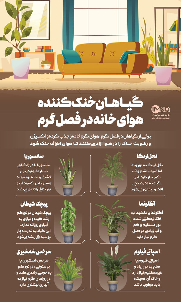 گیاهان خنک کننده هوای خانه