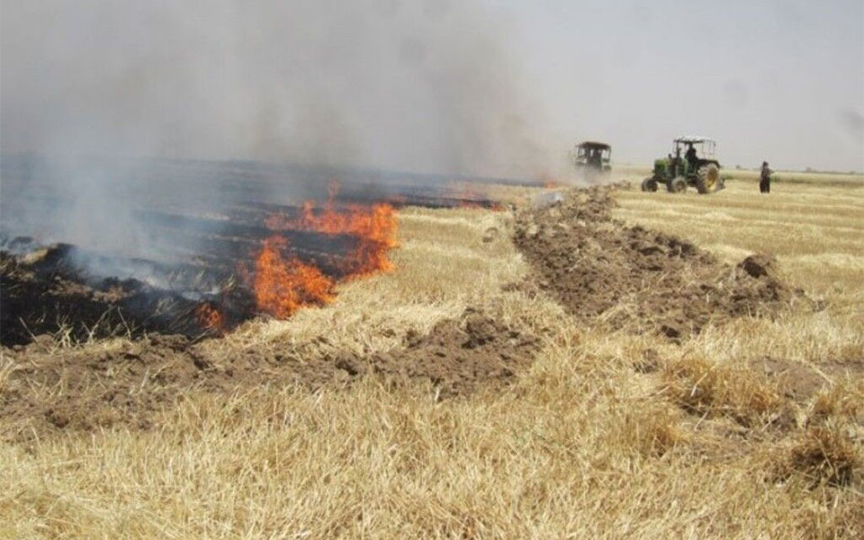 آتش سوزی در مزارع دالاهو