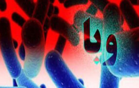 موارد مشکوک به "وبا" در مریوان در حال پیگیری است